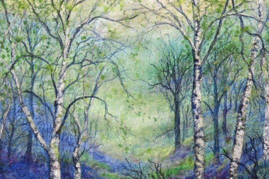 Bluebell Glade