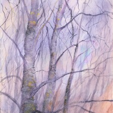 Winter Birches