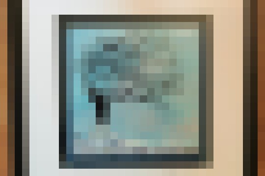 IMG20250220124436~2