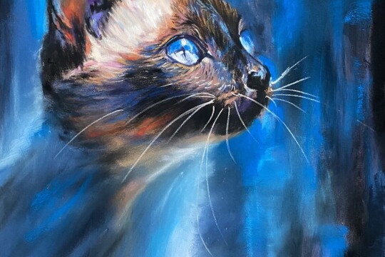 Paula Brady brochure pic (2)