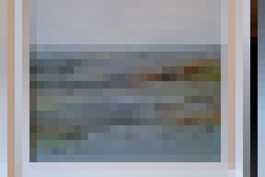 17390138121403459449279638913135