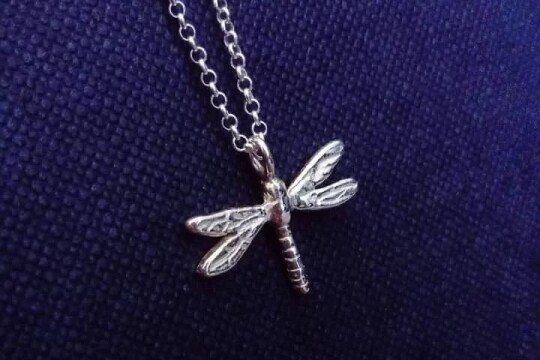 274558712 7188741401197069 8579509135301767621 n