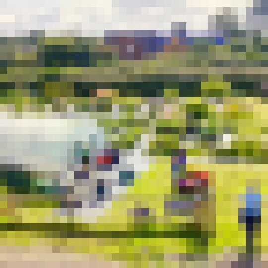 IMG 0893