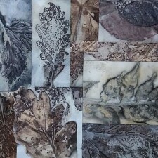 ecoprint collage Lizzie Godden