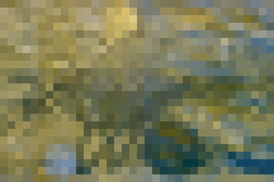IMG 3450 (1)