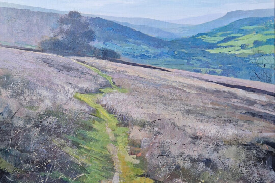 Bryn Arw towards Crug Hywel