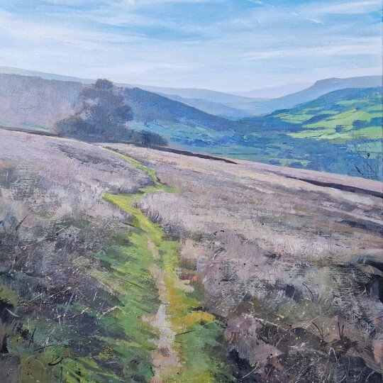 Bryn Arw towards Crug Hywel