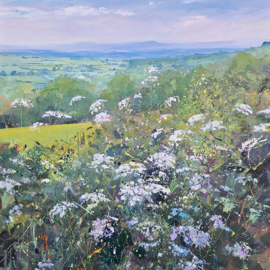 Cow Parsley Summer