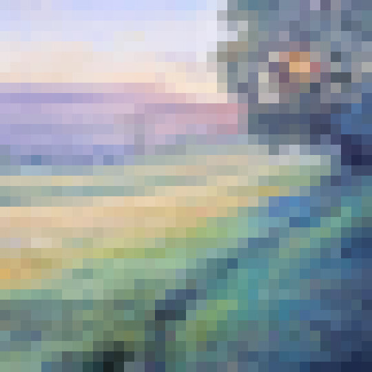 Sunset Meadow