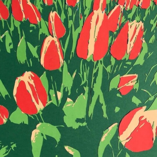 Tulip Field   small pixels