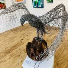 eagle