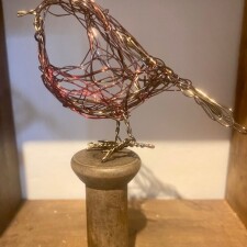 robin on a bobbin