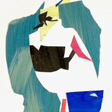 Bright RestingLapwing Collage 2