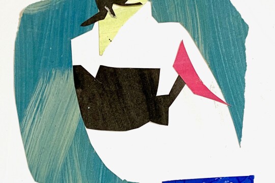 Bright RestingLapwing Collage 2