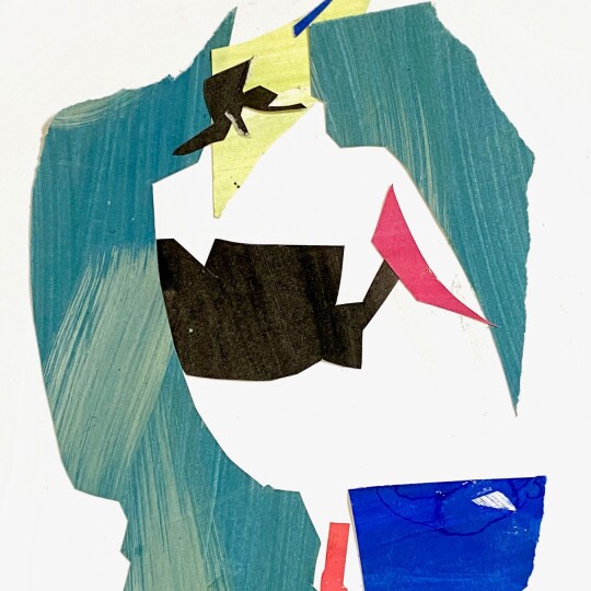 Bright RestingLapwing Collage 2