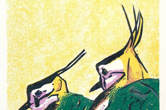 Bright SpringLapwings ReliefPrint