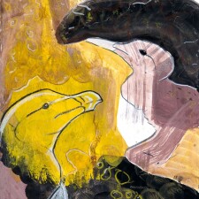 DBright Guillemot Razorbill MixedMedia