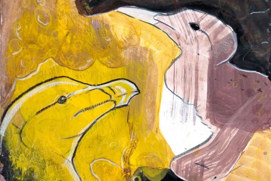 DBright Guillemot Razorbill MixedMedia