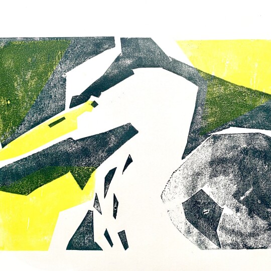 DBright Heron