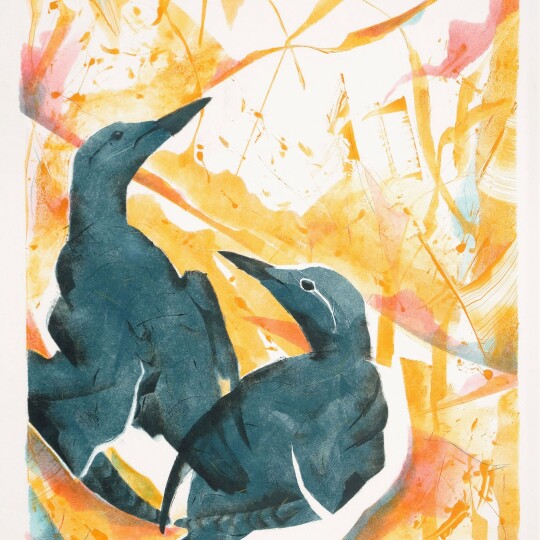 DBright St Abbs Guillemots Monoprint