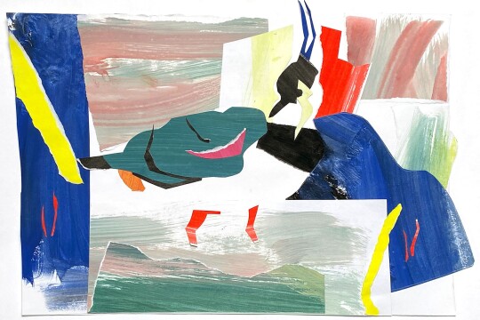 DBright StormBlownLapwing Collage 1