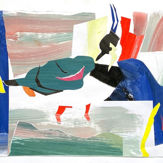 DBright StormBlownLapwing Collage 1