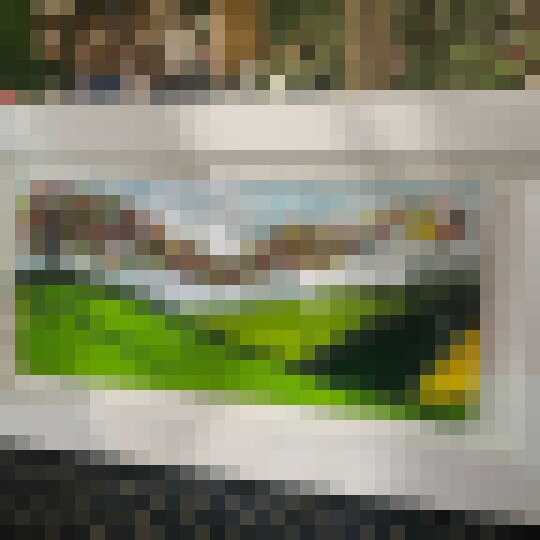 20241208 143435