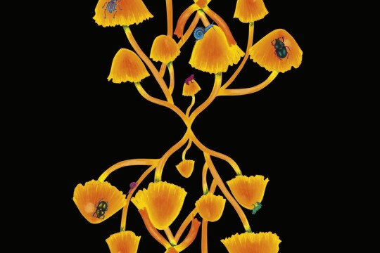 received 230505373395392