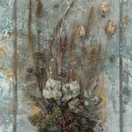 Jill Bourchier