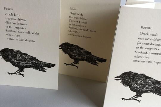 WhatsApp Image 2025 03 16 at 10.29.09