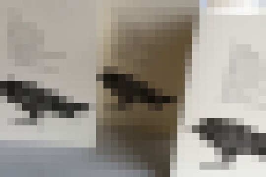 WhatsApp Image 2025 03 16 at 10.29.09