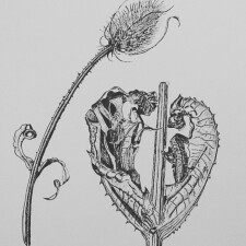 91399493 F125 4A4B 93CE EF1ECE7F1A06