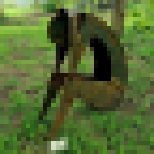 Lost