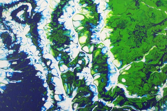 IMG 7651 crop