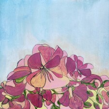 Lisa Dear Artworks   Pink Sybil