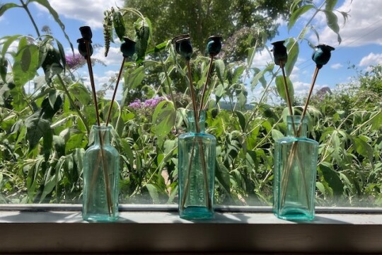 44501E22 E250 4591 B7A1 50840D6BD5CB