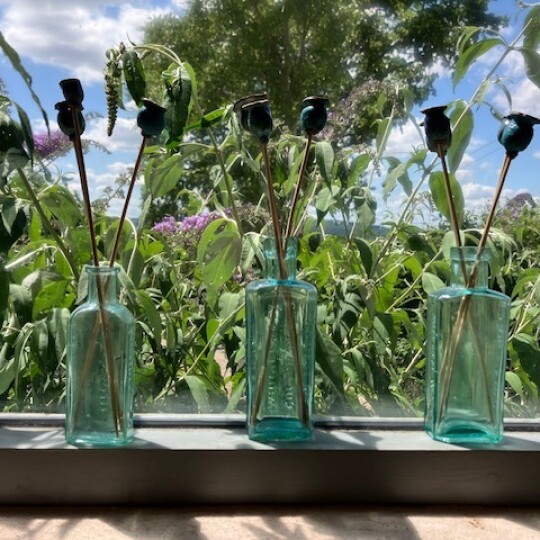 44501E22 E250 4591 B7A1 50840D6BD5CB