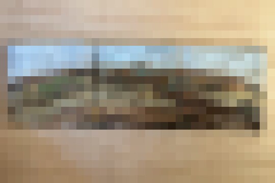 D5BBF452 C7EA 473A 9698 37C6EF34E9C3 1 201 a