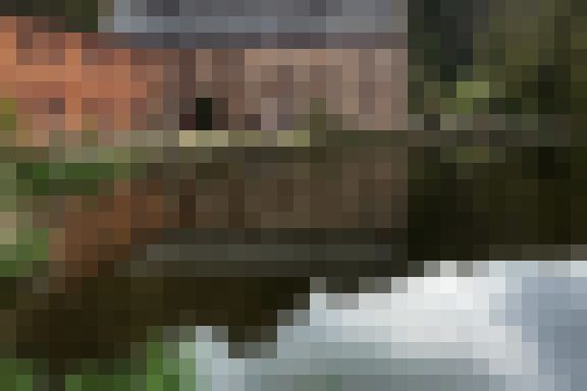 IMG 5963sq