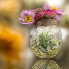Paula Leach