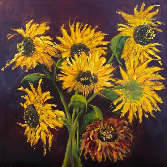 Aging Sunflowers