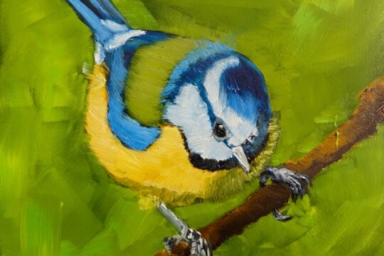 Blue Tit Holding On 600px