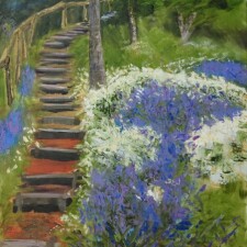 Bluebells and Wild Garlic