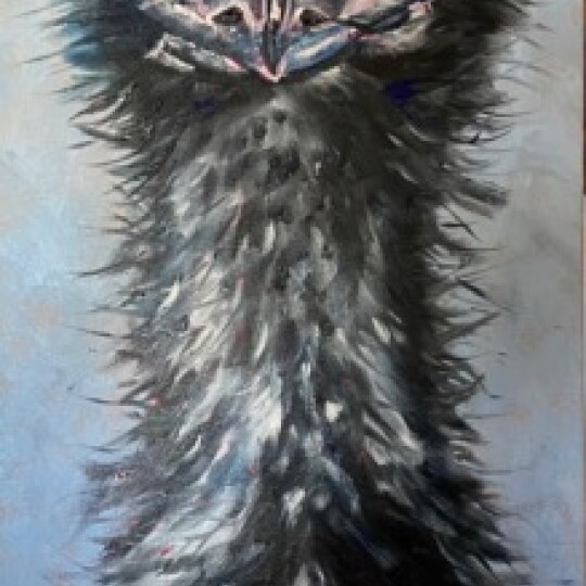 Emu Bad Hair Day