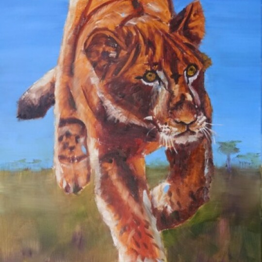 Lion Cub