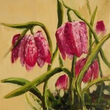 Snakes Head Fritillaries