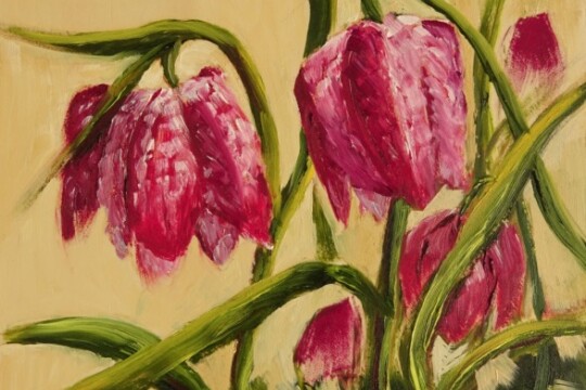 Snakes Head Fritillaries