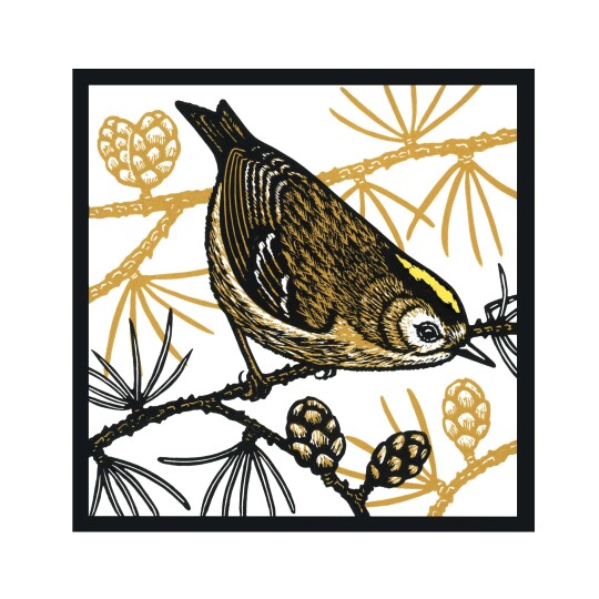 Goldcrest