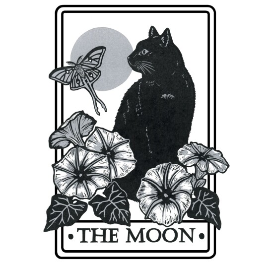 The Moon final