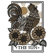 The Sun